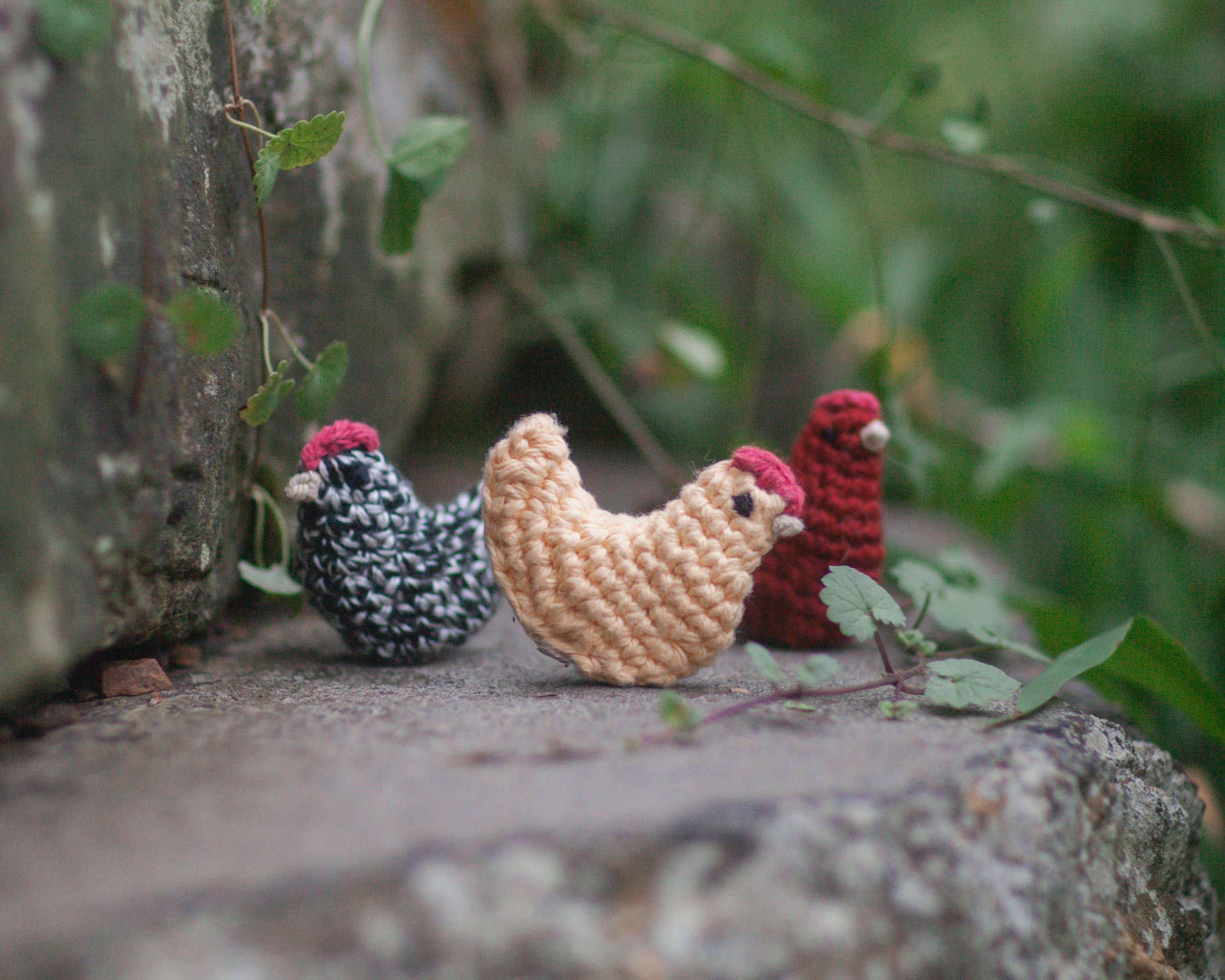 3 little chickens on a rock made using this crochet chicken pattern