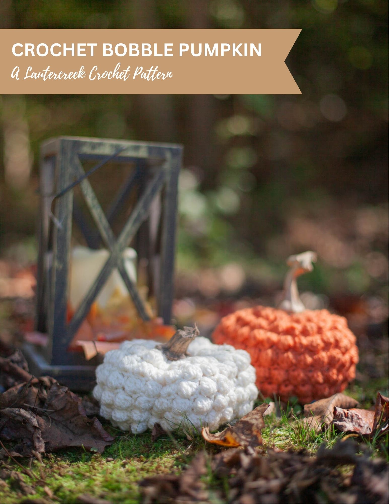 Crochet Bobble Pumpkin Pattern Two crochet pumpkins with bobbles among fall leaves.