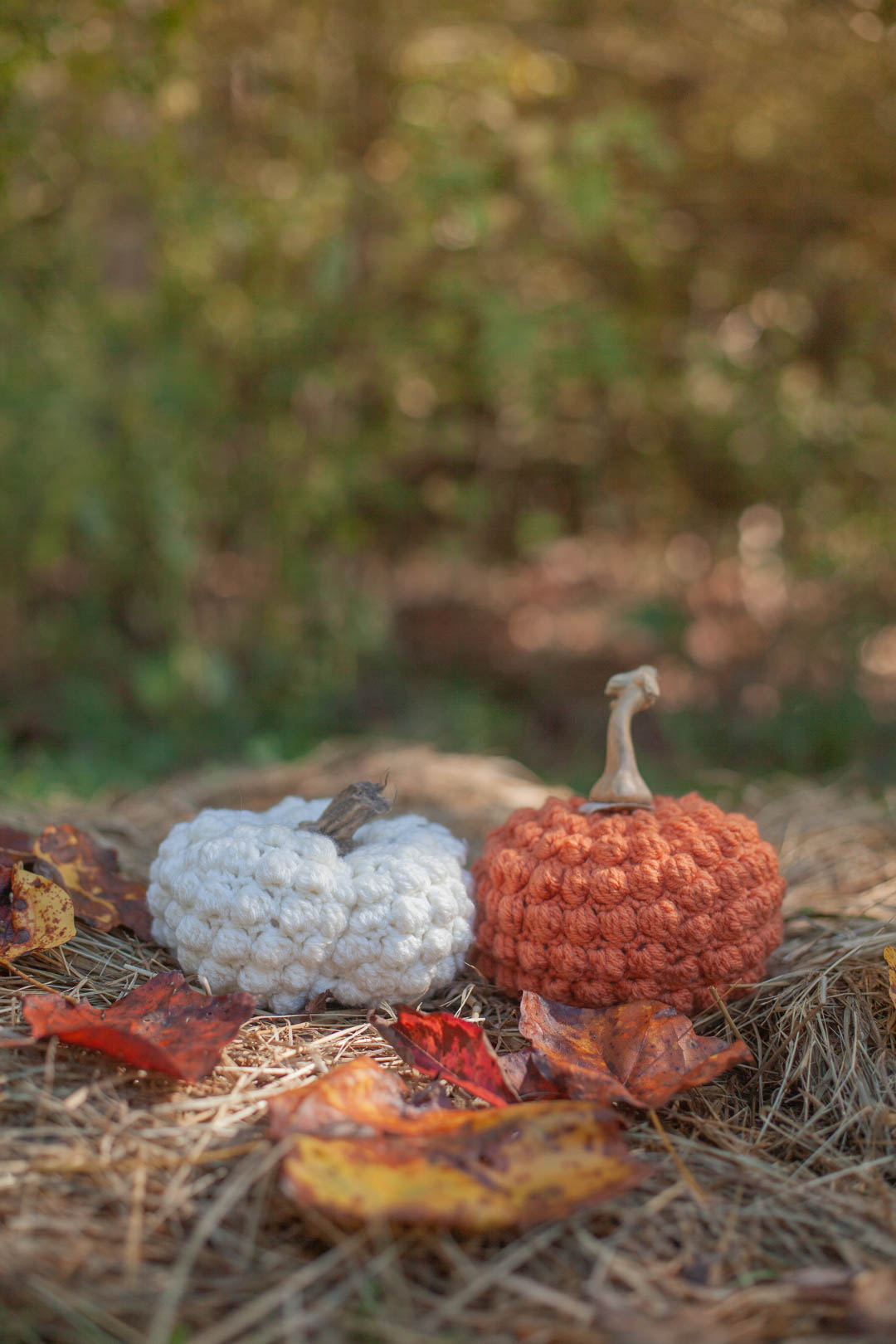 Two crocheted pumpkins on leaves