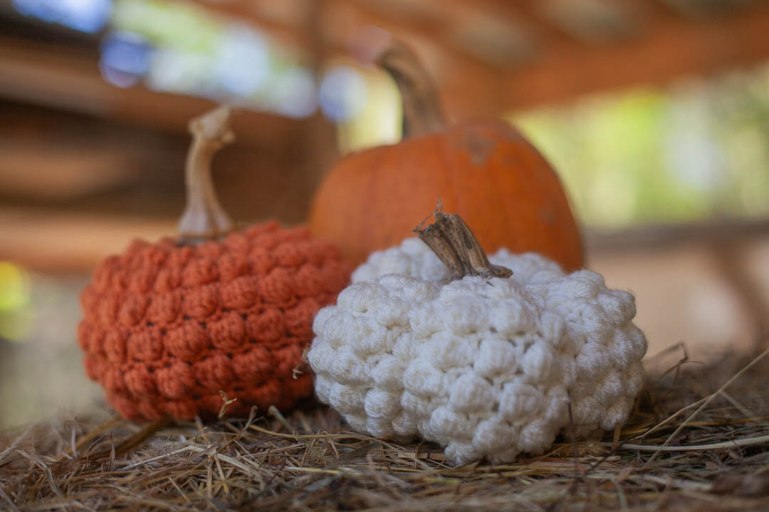 Crocheted pumpkins in autumn setting.