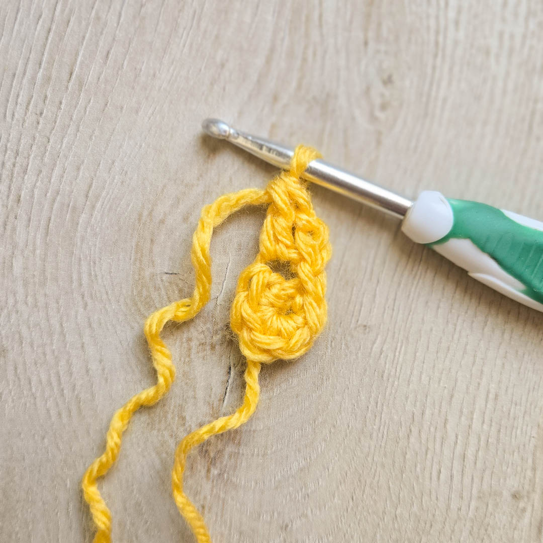 Half way through the first petal on the daffodil