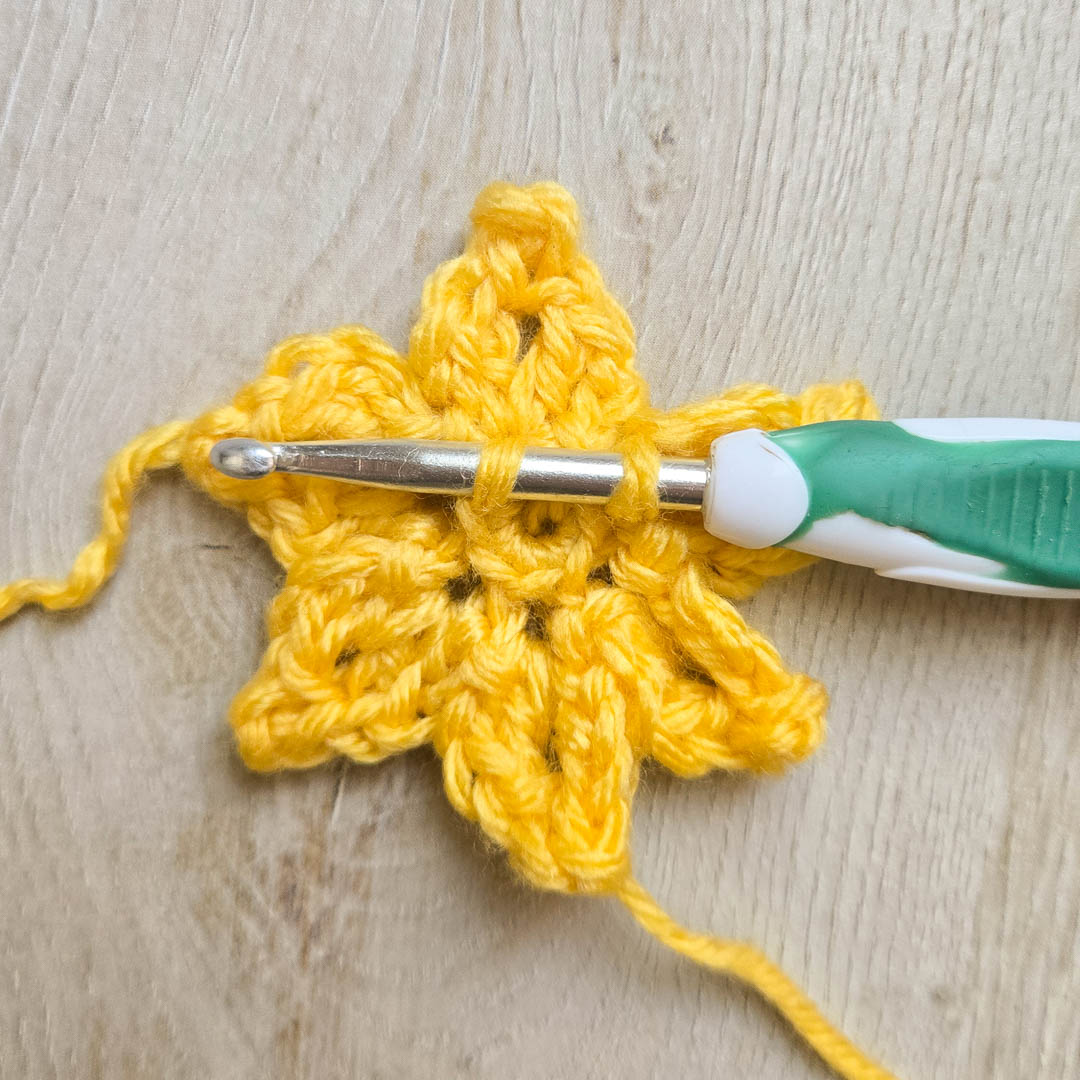A crochet hook starting on the center petals for a crochet flower.