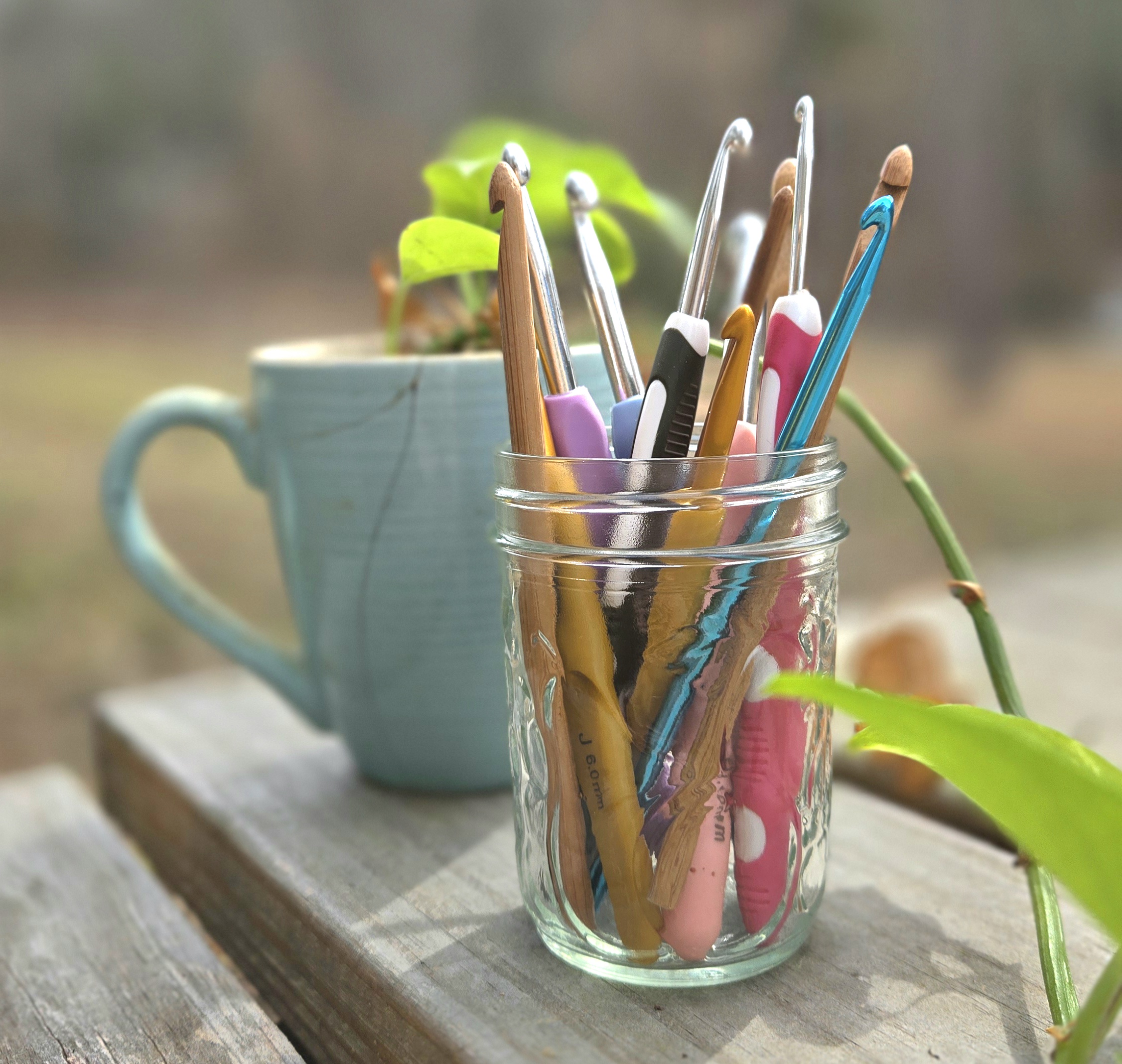 A variety of crochet hooks in a jar with a plant in the background